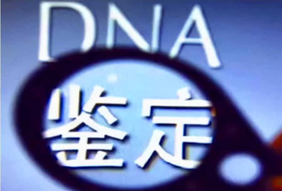 舟山头发能做DNA亲子鉴定吗,隐私亲子鉴定费用是多少