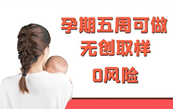 舟山胎儿如何做亲子鉴定，舟山无创产前亲子鉴定大概多少钱