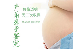 舟山胎儿亲子鉴定多少钱一次【在线咨询】