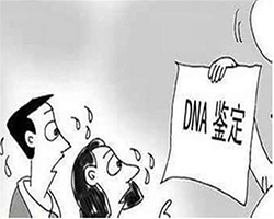 舟山匿名DNA亲子鉴定要多少钱的费用，舟山匿名亲子鉴定如何办理
